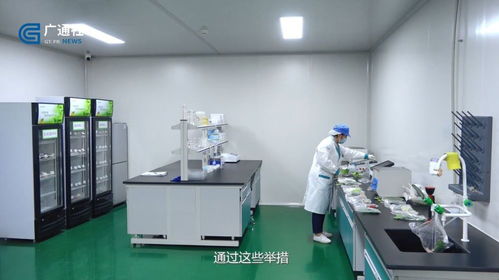 江蘇直通車發(fā)布江蘇電視臺播出 南京豐浩華食品供應鏈管理